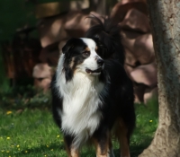 trulyawesome-jambaleya