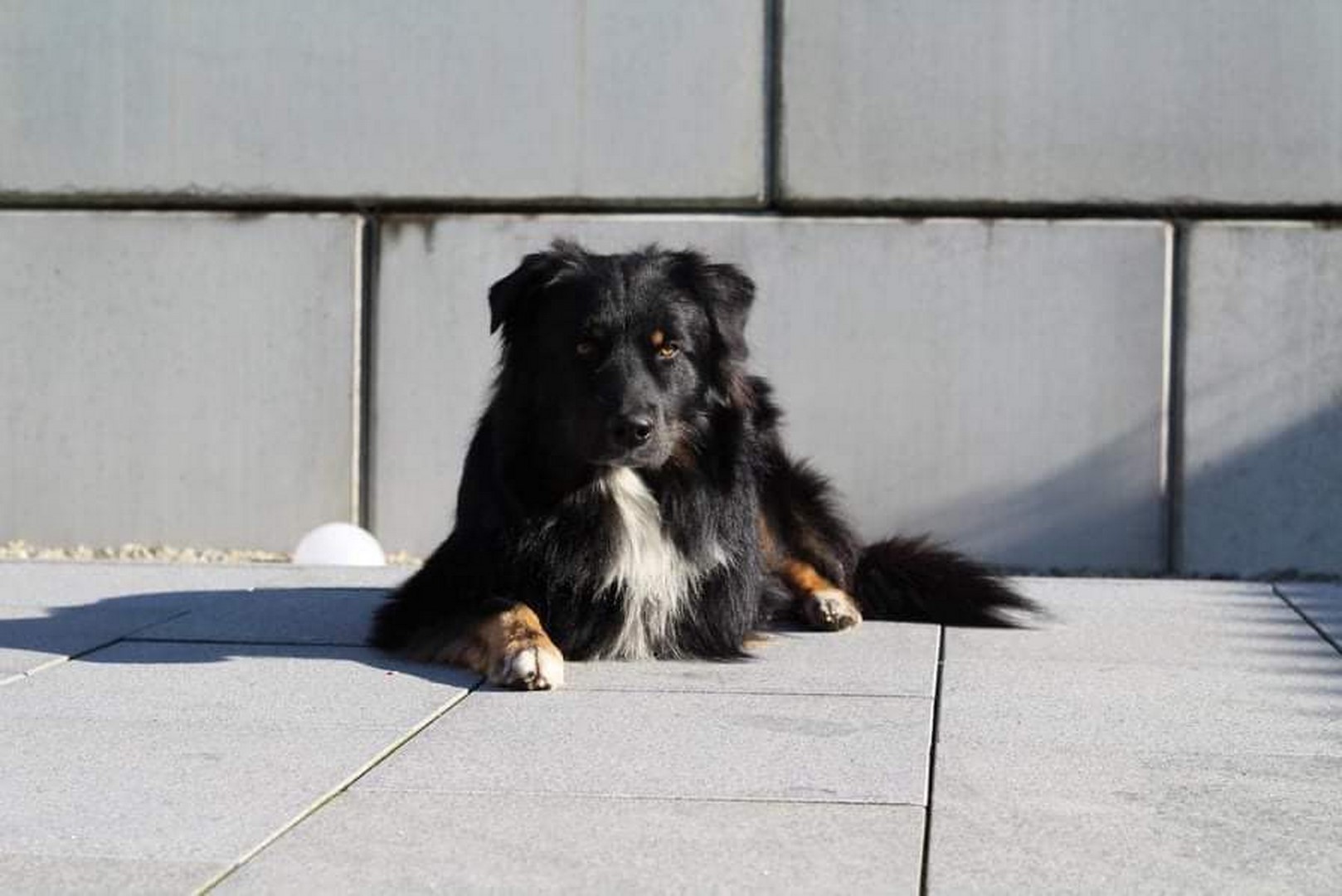 Waiting Hill's Stairway Joke - Kopfbild Waiting Hill's Stairway Joke - Kopfbild