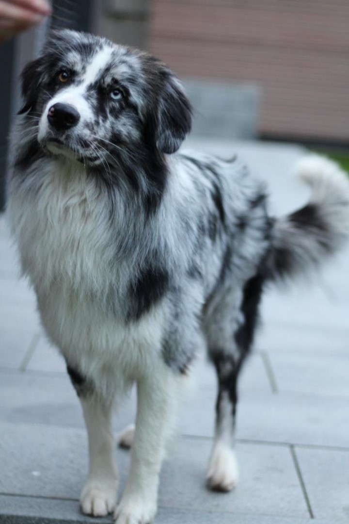 Waiting Hill's The Coolkid - Standbild Waiting Hill's The Coolkid - Standbild