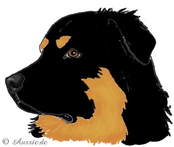 e-mask-schwarze-maske-shepherd-black