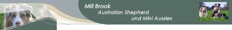 Mill-Brook Aussies