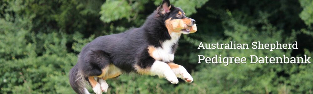 Australian Shepherd Pedigree Datenbank