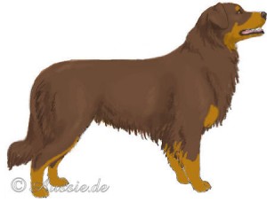 Red Bi Copper Red Bi Copper