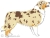 Red merle