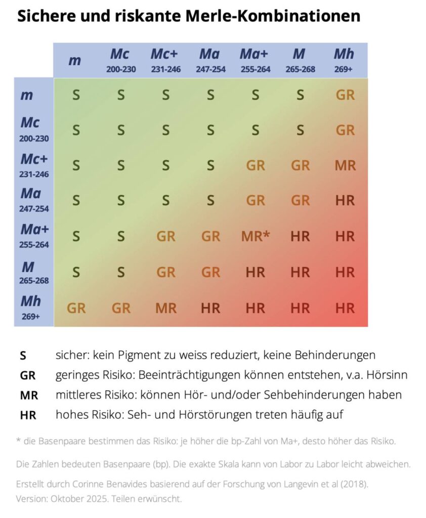 sichere-und-unsichere-merle-kombinationen-x sichere-und-unsichere-merle-kombinationen-x