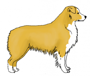 yellow gelb Shepherd ee
